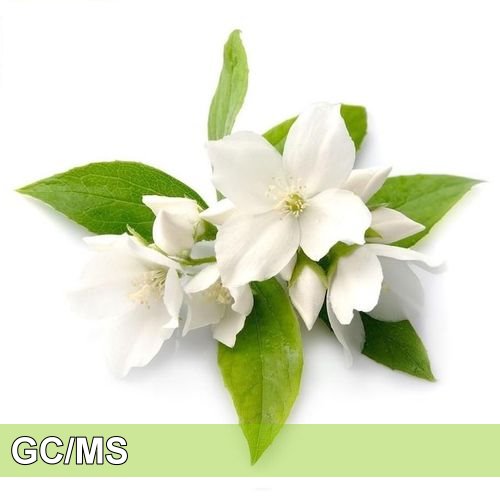 暫時停售 - Jasmine - 埃及茉莉原精